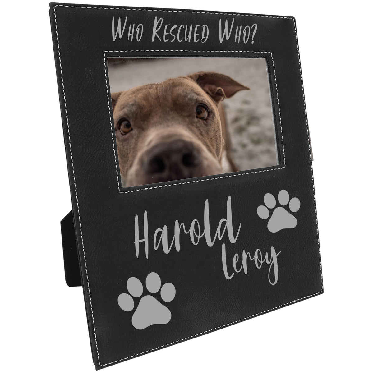 Pet Frames